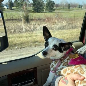 Meet your Posher, Erica